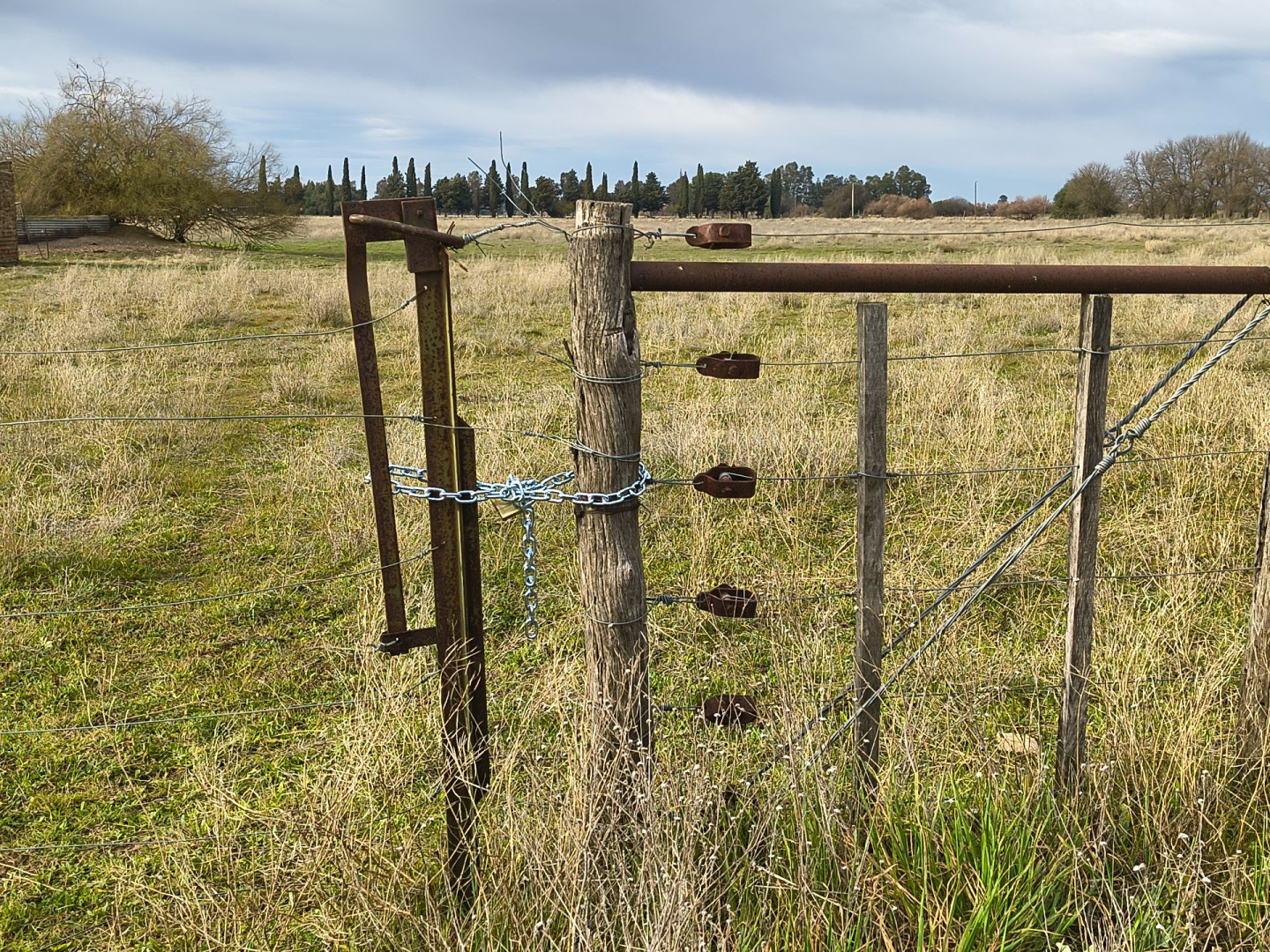 Campo  en Venta en Colonia Los Alfalfares,  Medanos - Bahía Blanca Propiedades | SITIO OFICIAL l