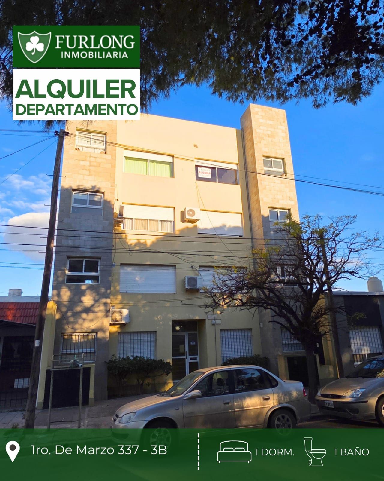 Departamento en Alquiler en 1ro De Marzo 337, Universitario, Bahía Blanca - Bahía Blanca Propiedades | SITIO OFICIAL l