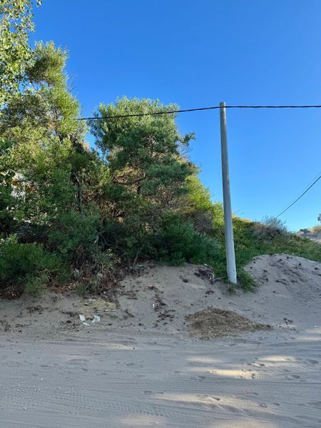Terreno en Venta en Mar Del Plata Y Punta Alta, El Sauce, Monte Hermoso - Bahía Blanca Propiedades | SITIO OFICIAL l