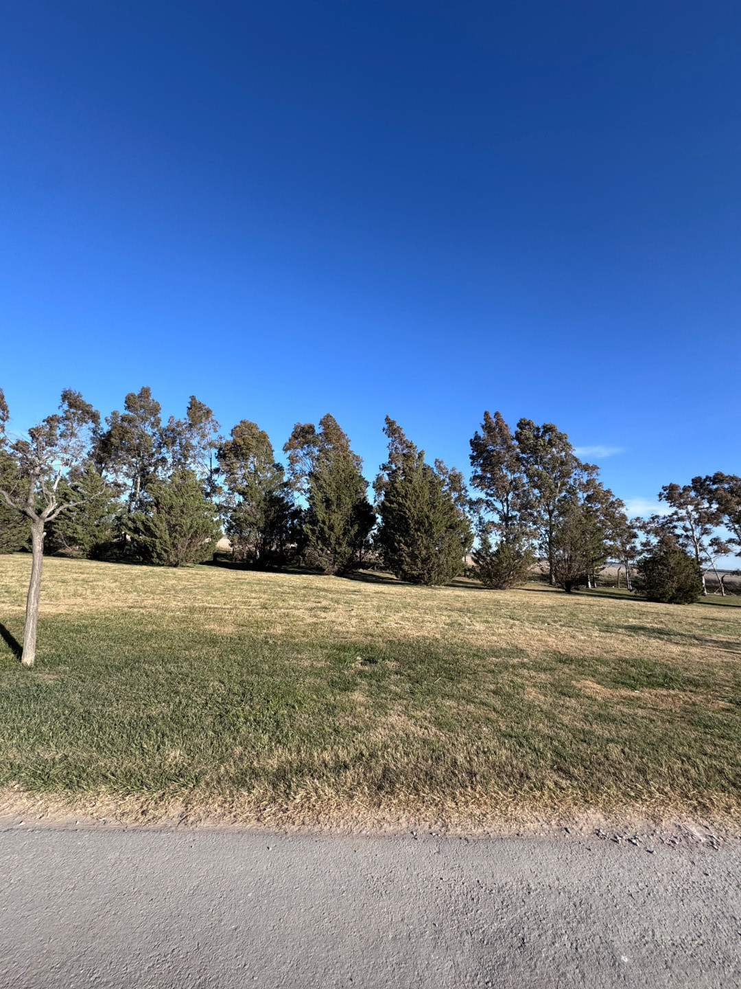 Terreno en Venta en Pago Chico,  Punta Alta - Bahía Blanca Propiedades | SITIO OFICIAL l