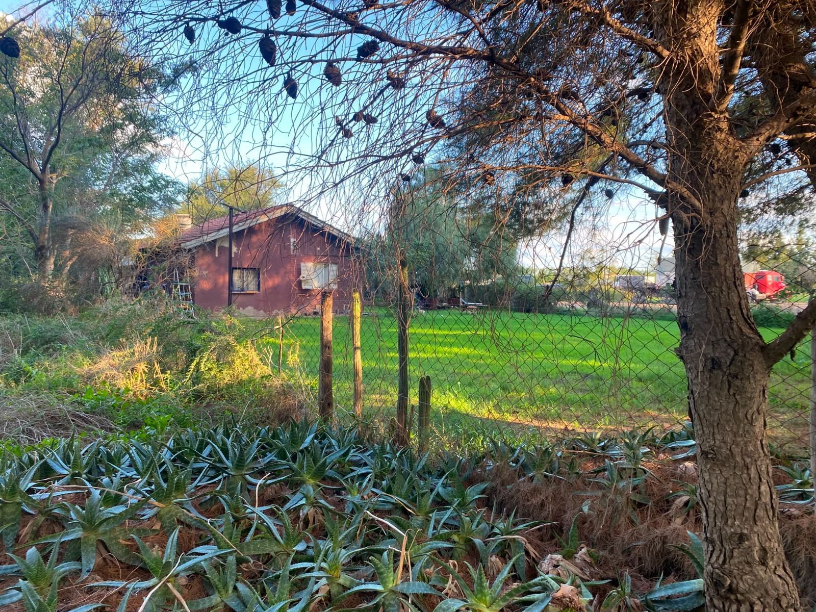 Casaquinta en Venta en Paula Albarracin 396,  Bahía Blanca - Bahía Blanca Propiedades | SITIO OFICIAL l