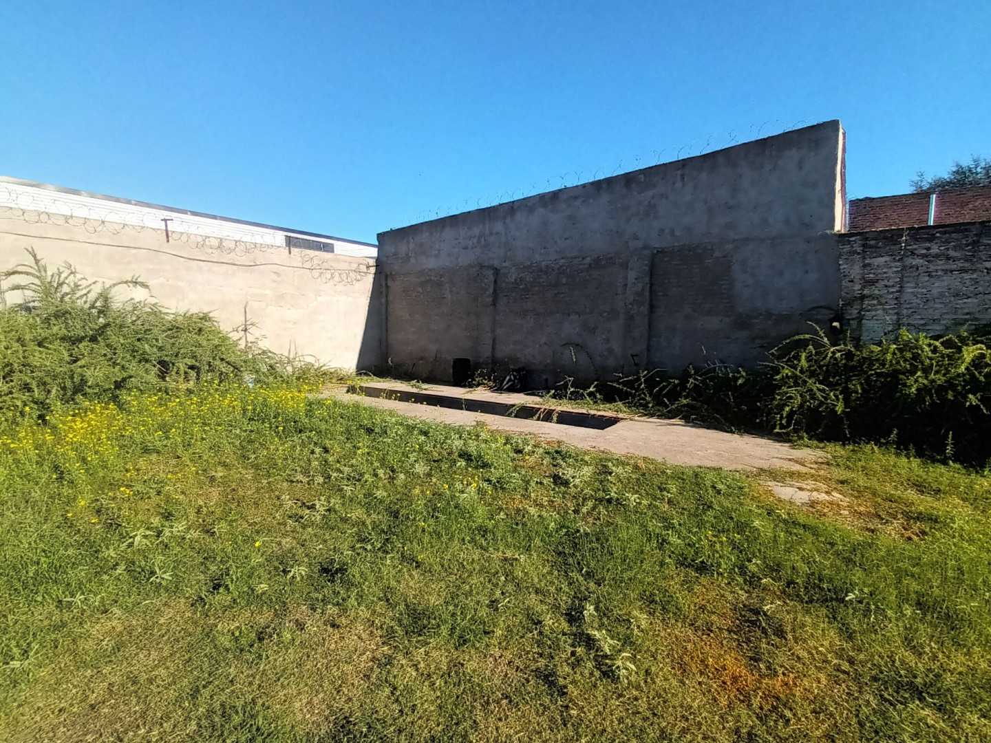 Galpón en Venta en ANGEL BRUNEL 1151, Pedro Pico, Bahía Blanca - Bahía Blanca Propiedades | SITIO OFICIAL l