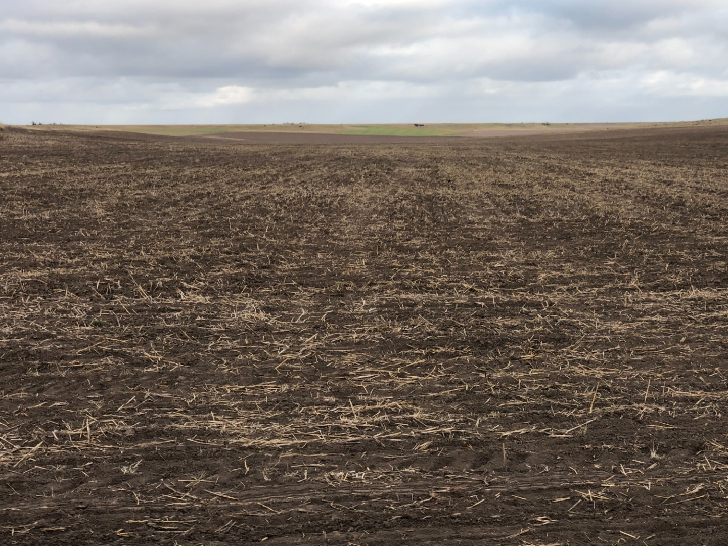 Campo  en Venta en Coronel Dorrego,  Coronel Dorrego - Bahía Blanca Propiedades | SITIO OFICIAL l