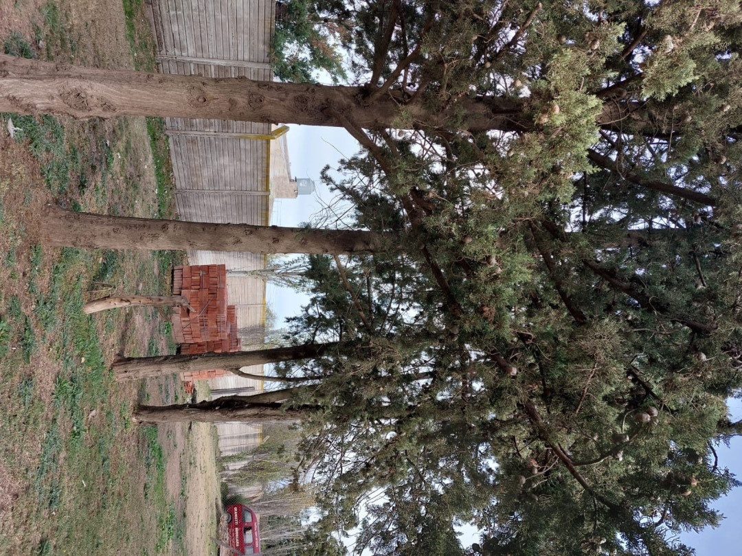Terreno en Venta en Sargento Iturra 5850, Villa Bordeu, Bahía Blanca - Bahía Blanca Propiedades | SITIO OFICIAL l