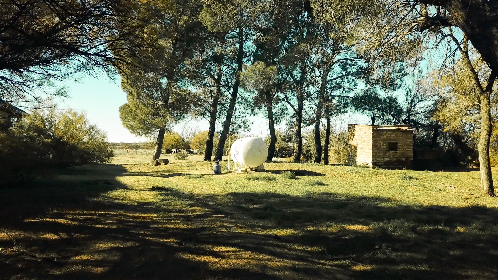 Campo  en Venta   Bernasconi - Bahía Blanca Propiedades | SITIO OFICIAL l
