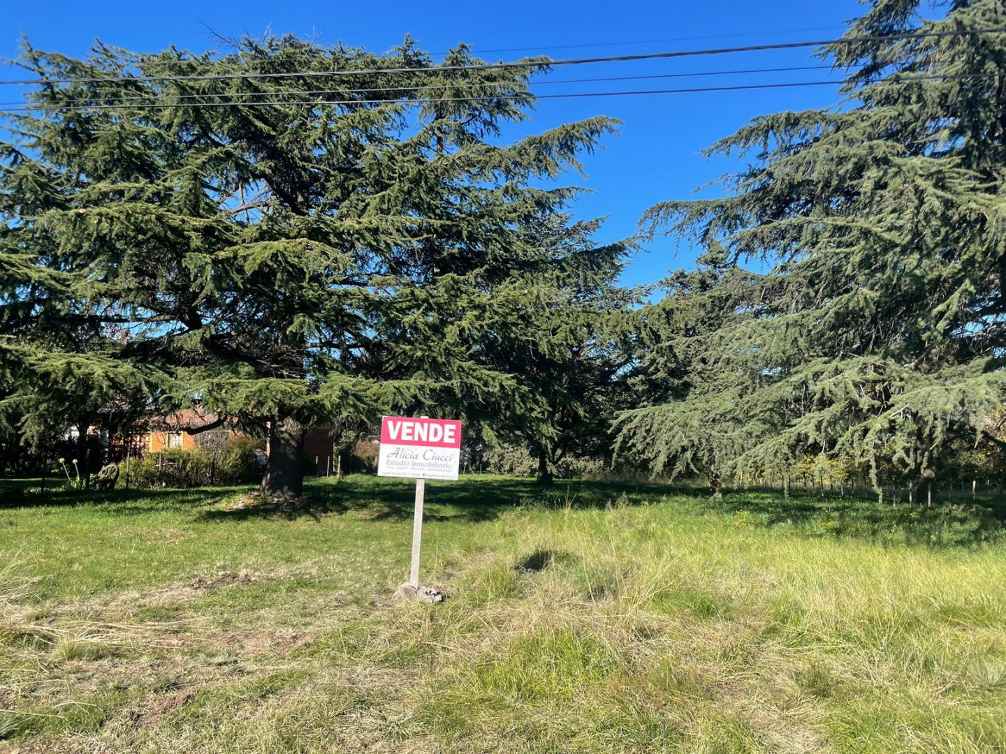 Terreno en Venta - Bahía Blanca Propiedades | SITIO OFICIAL l