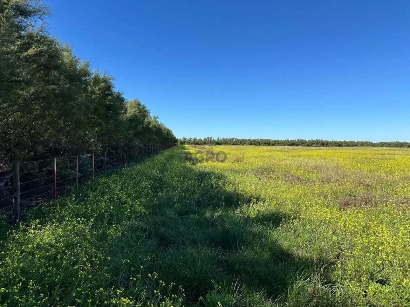 Campo  en Venta en Ruta 3,  Villarino - Bahía Blanca Propiedades | SITIO OFICIAL l