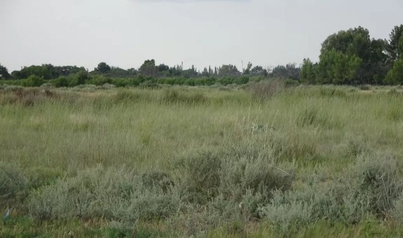 Terreno en Venta en Migueletes 500,  General Cerri - Bahía Blanca Propiedades | SITIO OFICIAL l