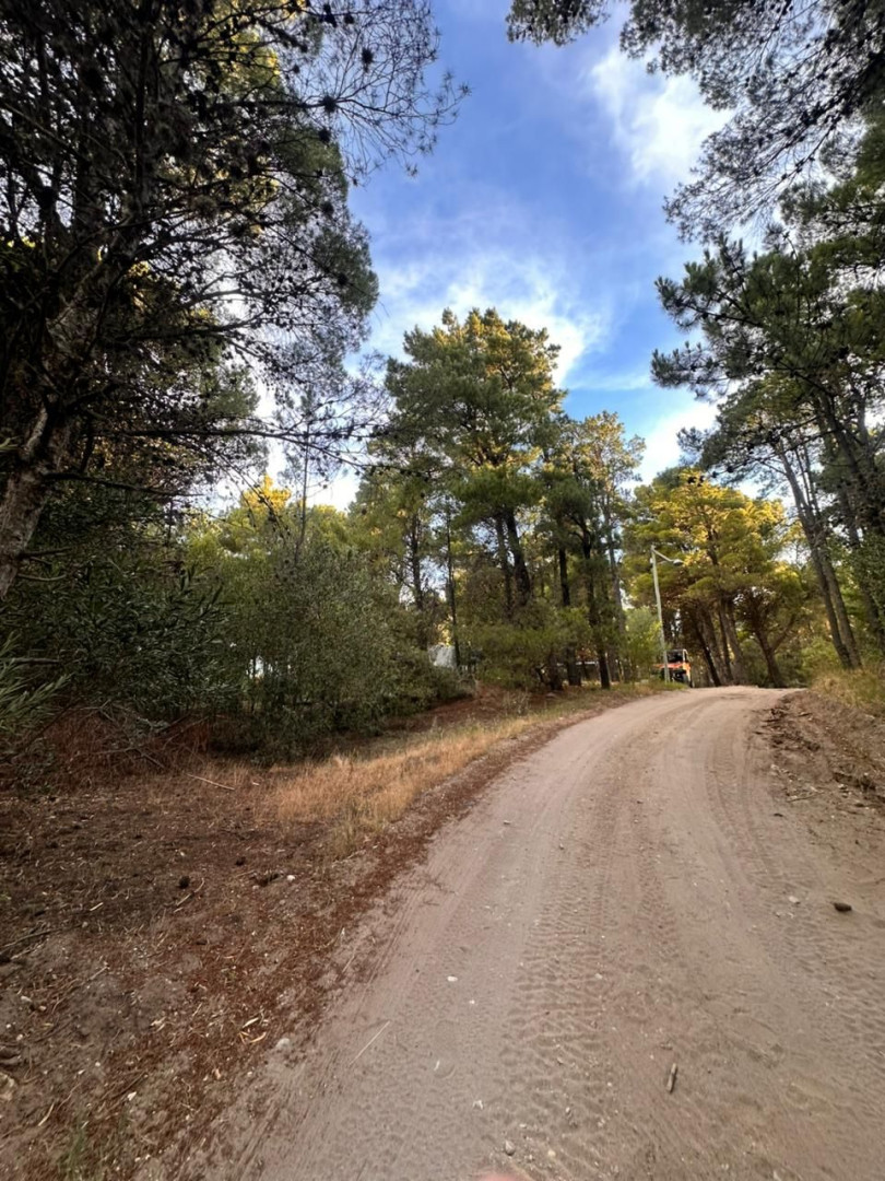 Terreno en Venta en EL Chimango Esquina Bosque Alegre , Pinar del Golf, Monte Hermoso - Bahía Blanca Propiedades | SITIO OFICIAL l