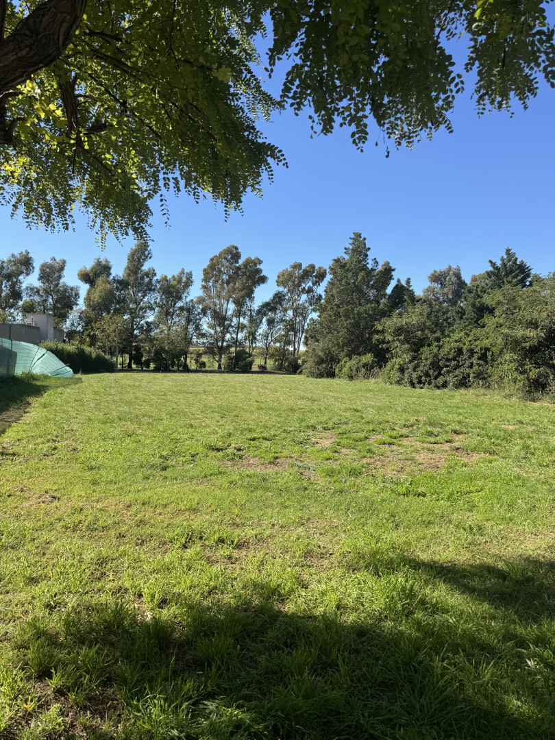 Terreno en Venta en Ruta 229 Km 17, Pago Chico, Punta Alta - Bahía Blanca Propiedades | SITIO OFICIAL l