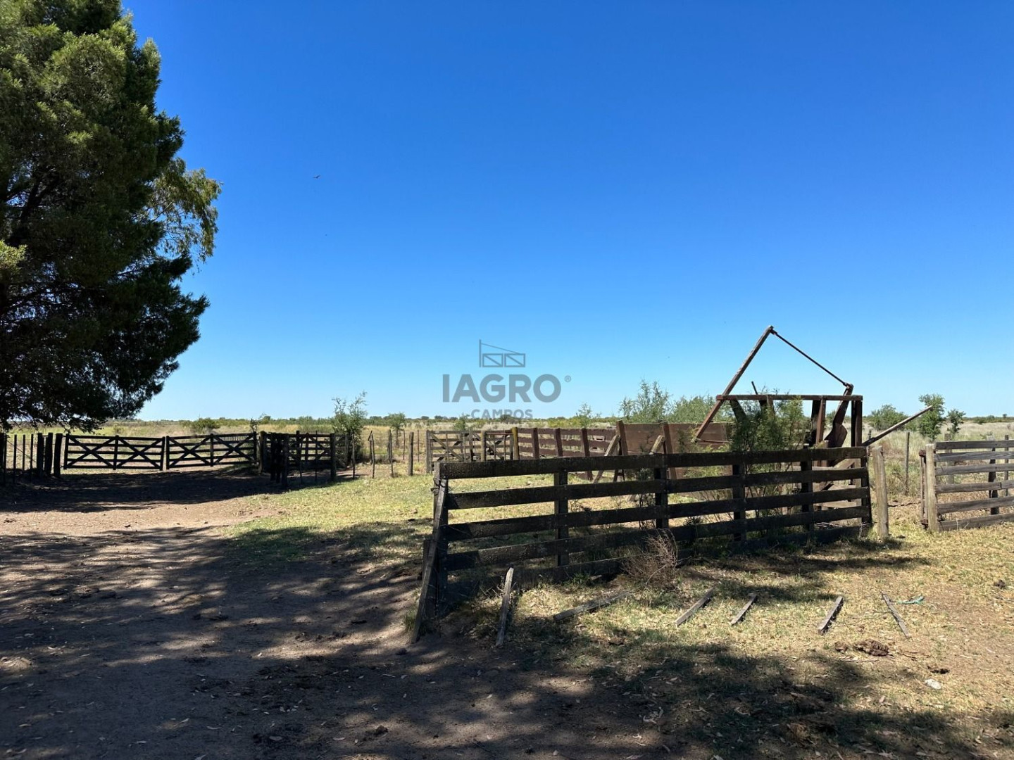 Campo  en Venta en Juan A. Pradere,  Carmen de Patagones - Bahía Blanca Propiedades | SITIO OFICIAL l