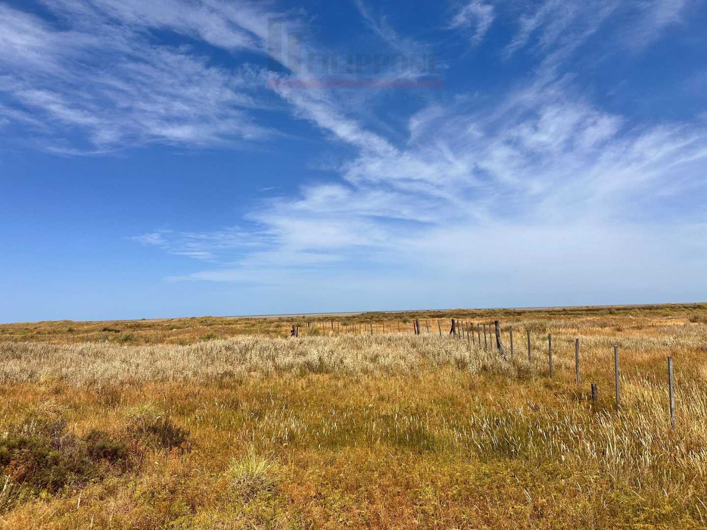 Campo  en Venta   Coronel Dorrego - Bahía Blanca Propiedades | SITIO OFICIAL l