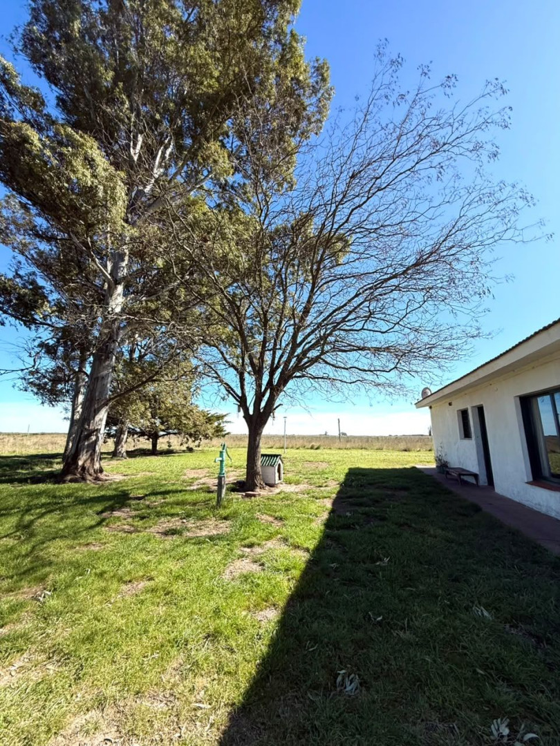 Campo  en Venta   Juan A. Pradere - Bahía Blanca Propiedades | SITIO OFICIAL l