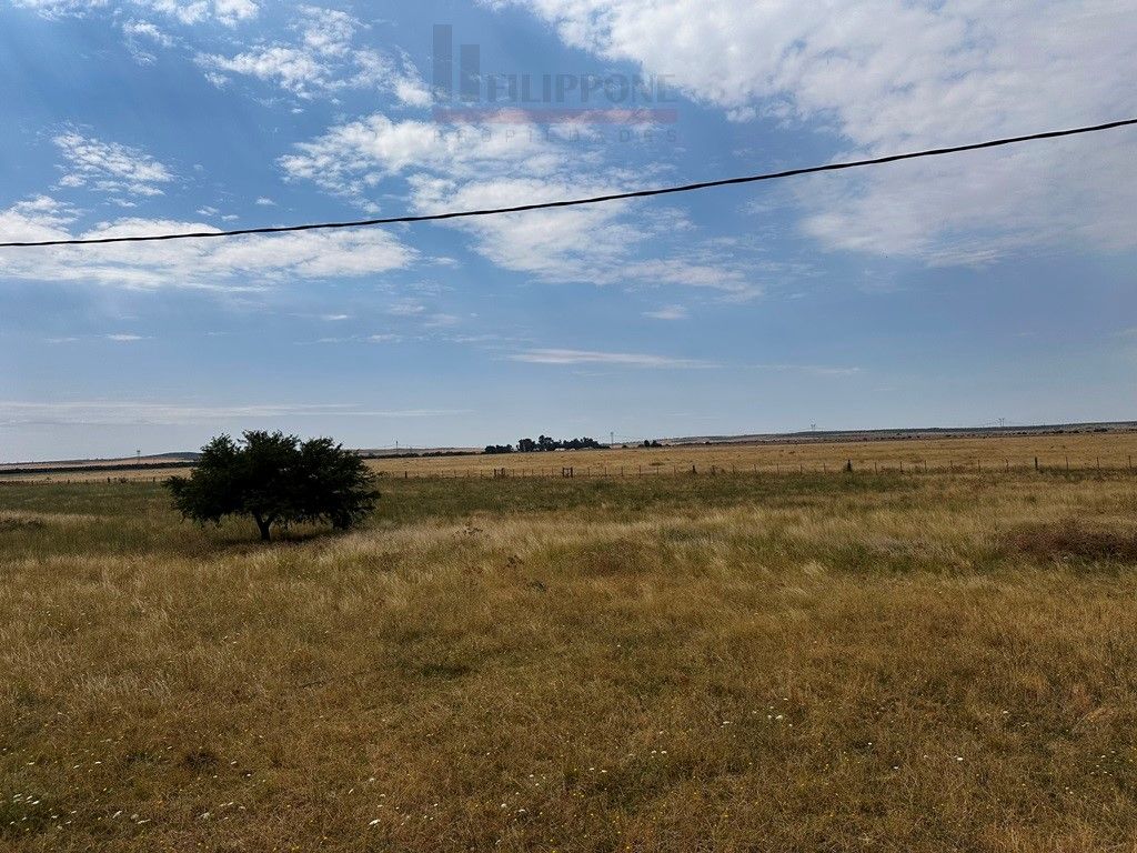 Campo  en Venta en Ruta Nacional 35 Km15,  Bahía Blanca - Bahía Blanca Propiedades | SITIO OFICIAL l