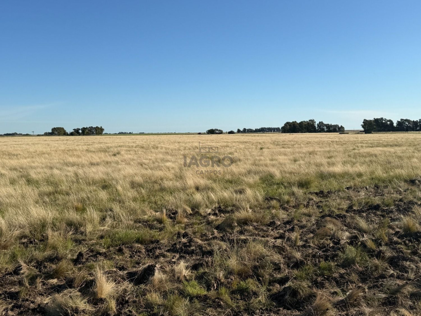 Campo  en Venta en Bajo Hondo,  Bajo Hondo - Bahía Blanca Propiedades | SITIO OFICIAL l