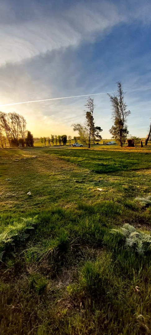 Terreno en Venta en Lote 40, Las Verbenas , Sierra de  la Ventana - Bahía Blanca Propiedades | SITIO OFICIAL l