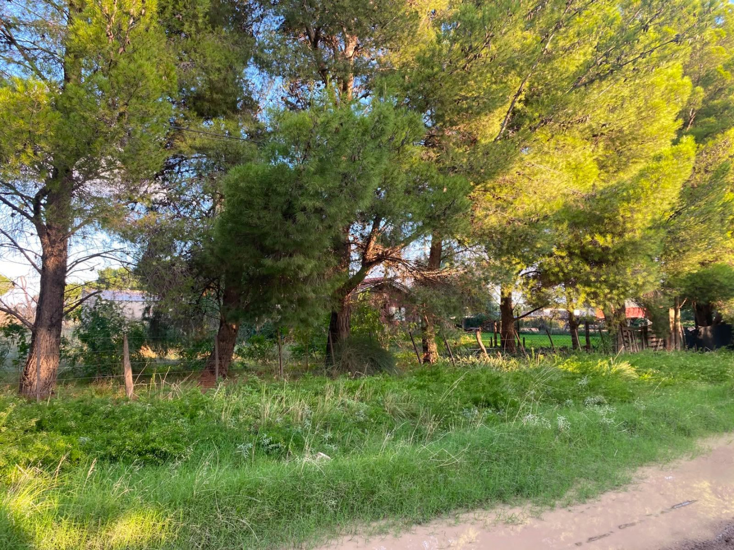 Terreno en Venta en Paula Albarracin 390, Los Chañares, Bahía Blanca - Bahía Blanca Propiedades | SITIO OFICIAL l