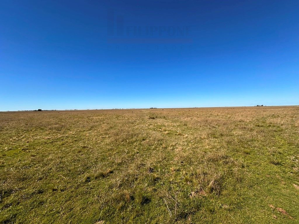 Campo  en Venta en Ruta 35 - Bahía Blanca Propiedades | SITIO OFICIAL l