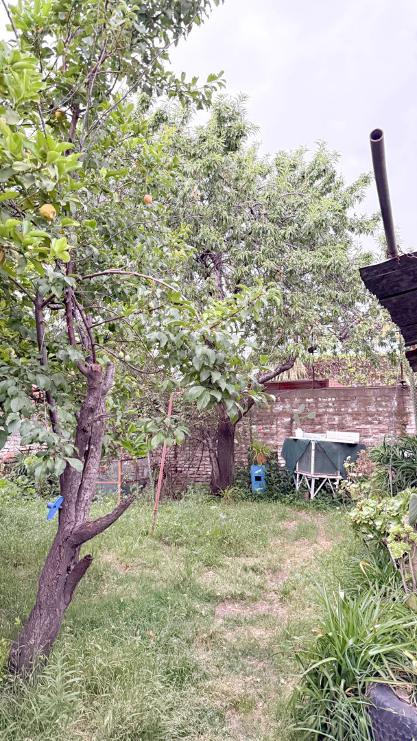 Casa con Local en Venta en Washington 772, Centro, Bahía Blanca - Bahía Blanca Propiedades | SITIO OFICIAL l