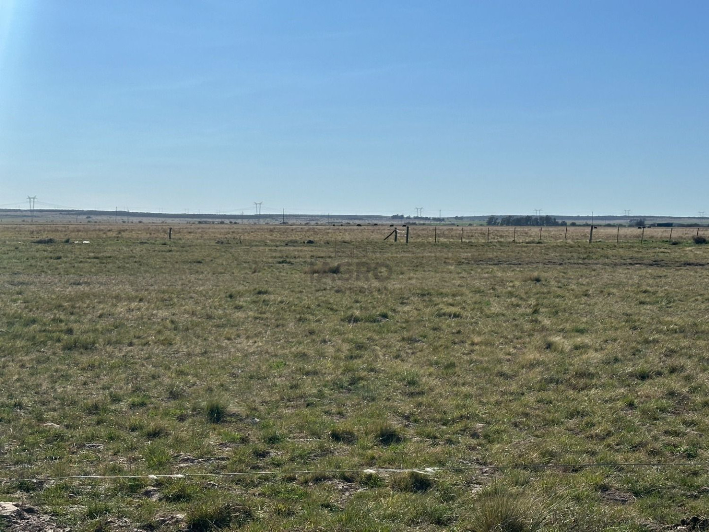 Campo  en Venta en Bahia Blanca,  Bahía Blanca - Bahía Blanca Propiedades | SITIO OFICIAL l
