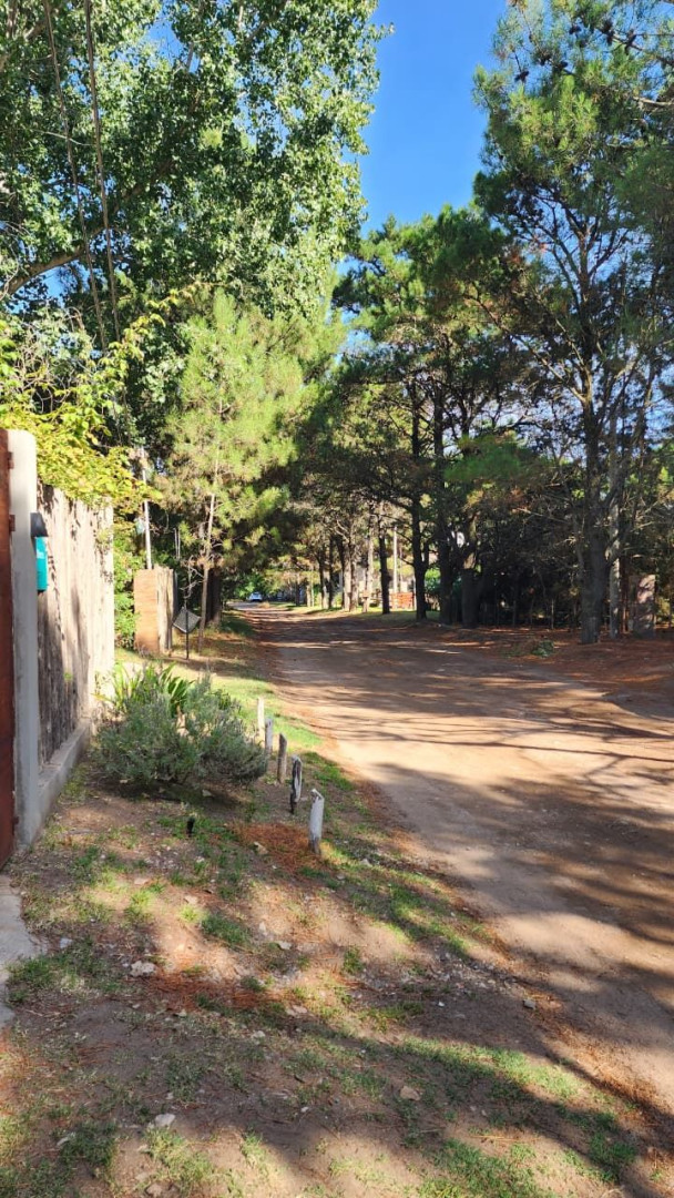 Casa  - por Día en De Los Caracoles & Del Mero, Las Dunas, Monte Hermoso - Bahía Blanca Propiedades | SITIO OFICIAL l