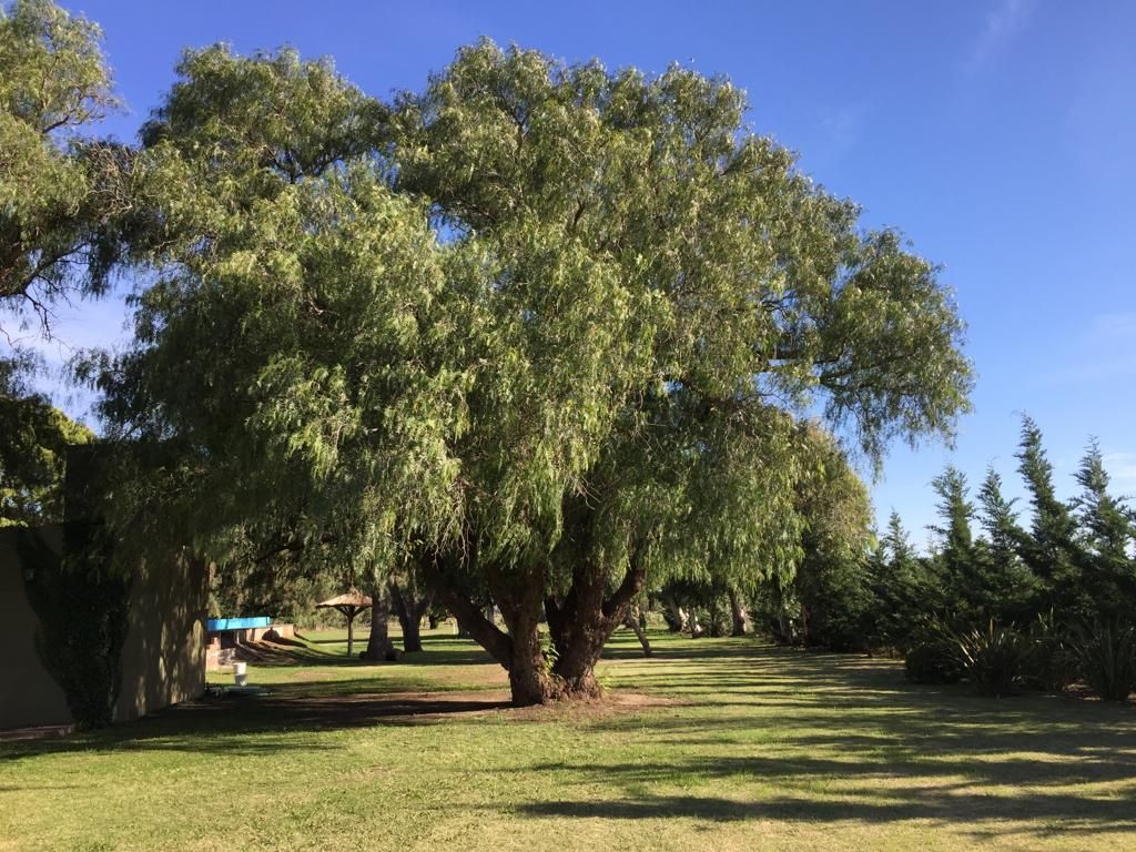 Casaquinta en Venta  Aldea Romana, Bahía Blanca - Bahía Blanca Propiedades | SITIO OFICIAL l