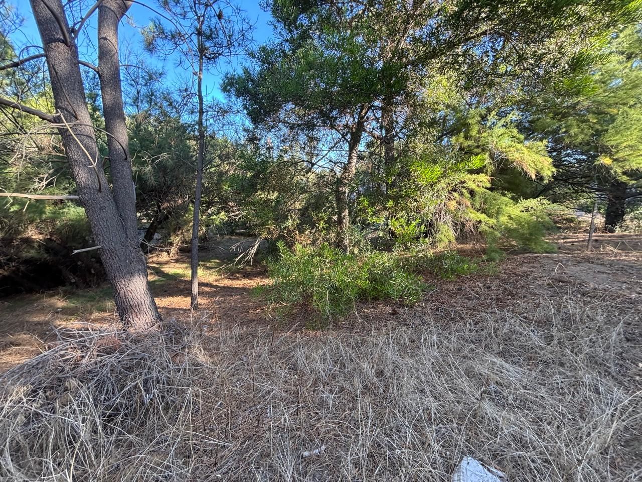 Terreno en Venta en Edurado Plache Y Miramar, El Sauce, Monte Hermoso - Bahía Blanca Propiedades | SITIO OFICIAL l