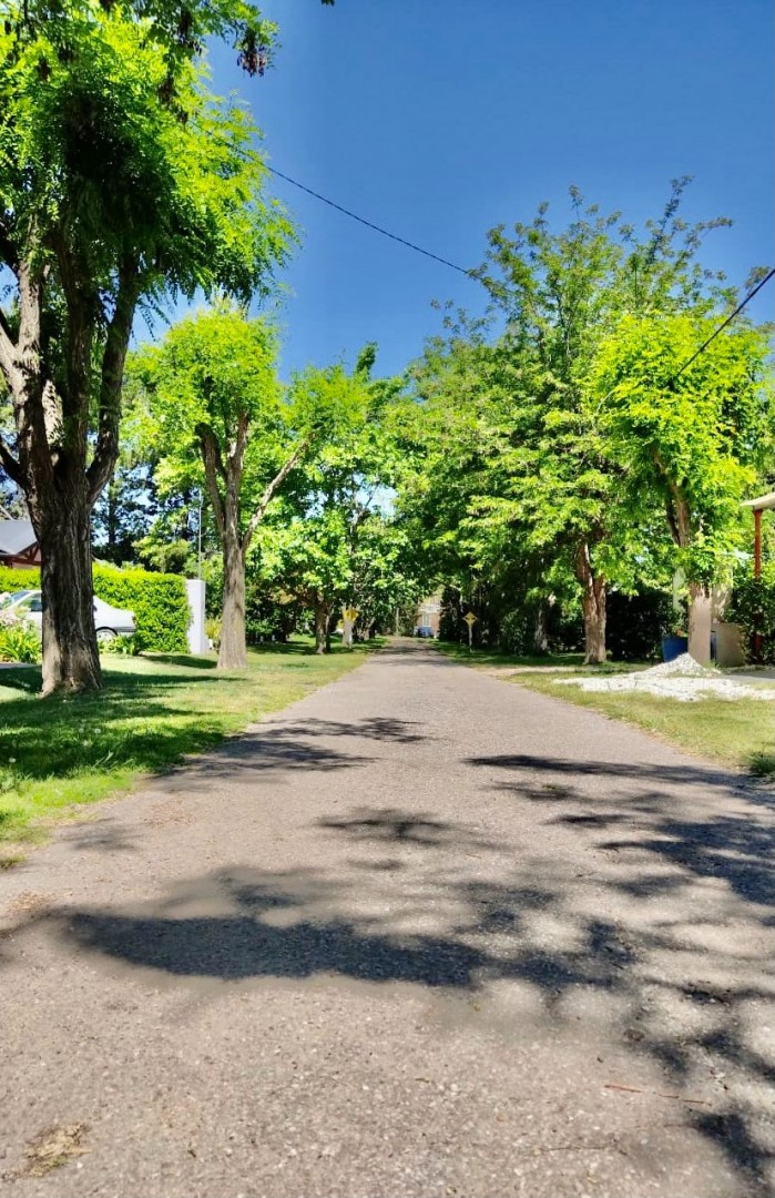 Terreno en Venta en Ruta 229 Km 17, Pago Chico, Punta Alta - Bahía Blanca Propiedades | SITIO OFICIAL l