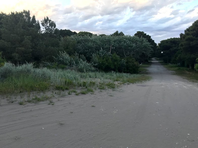 Terreno en Venta en Av. Avelino Gonzalez Martinez Esquina Bouchard,  Pehuen Co - Bahía Blanca Propiedades | SITIO OFICIAL l