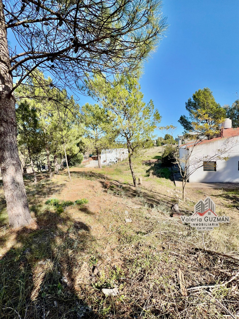 Terreno en Venta en La Rioja Y Río Salado, Dufaur, Monte Hermoso - Bahía Blanca Propiedades | SITIO OFICIAL l
