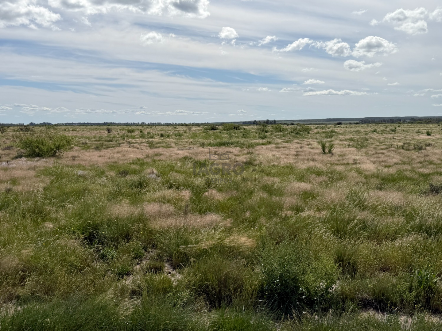 Campo  en Venta en Ruta 3,  Villarino - Bahía Blanca Propiedades | SITIO OFICIAL l