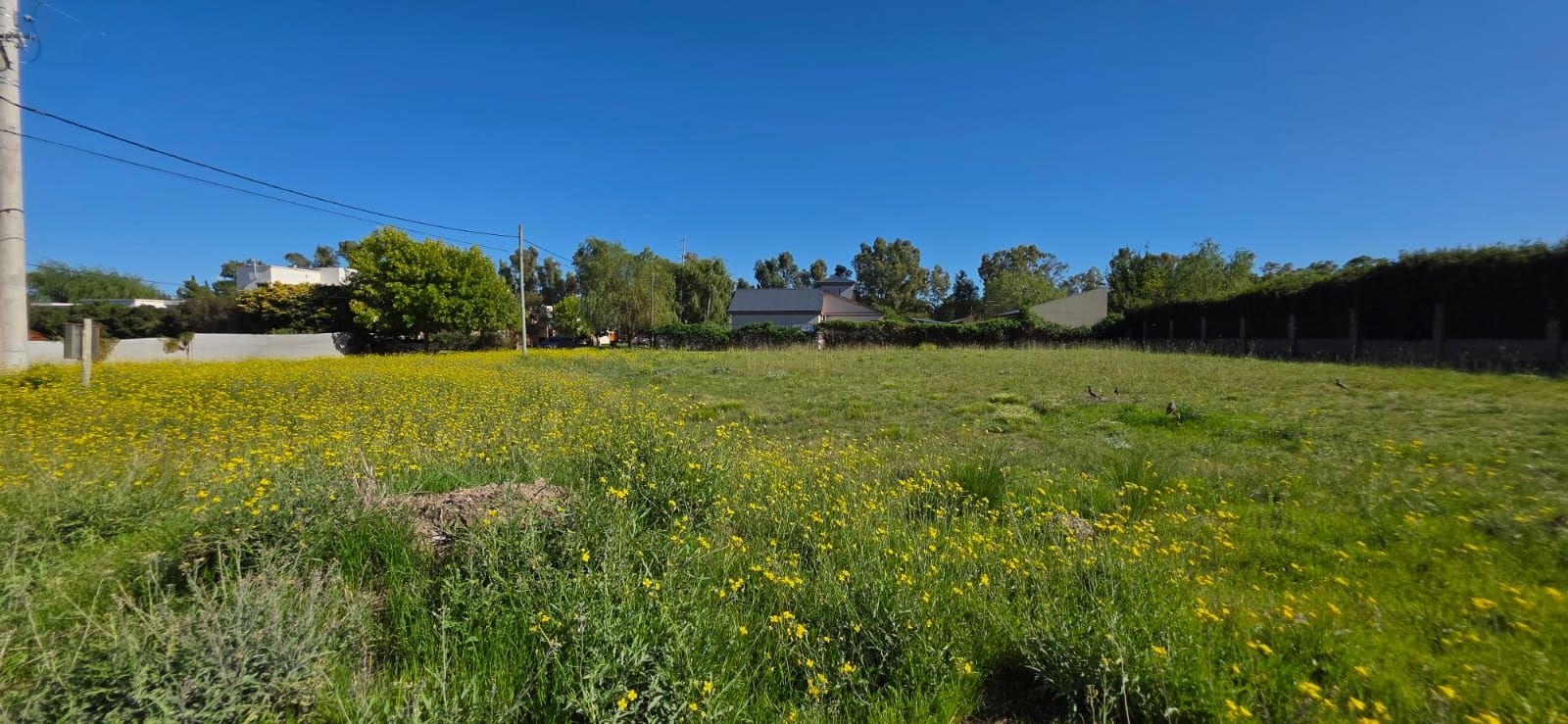 Terreno en Venta en Sivori Y Gregorio Rozas, Patagonia, Bahía Blanca - Bahía Blanca Propiedades | SITIO OFICIAL l