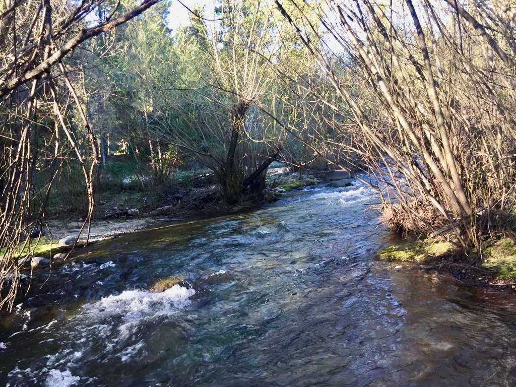 Campo  en Venta en El Bolsón ,  El Bolsón - Bahía Blanca Propiedades | SITIO OFICIAL l