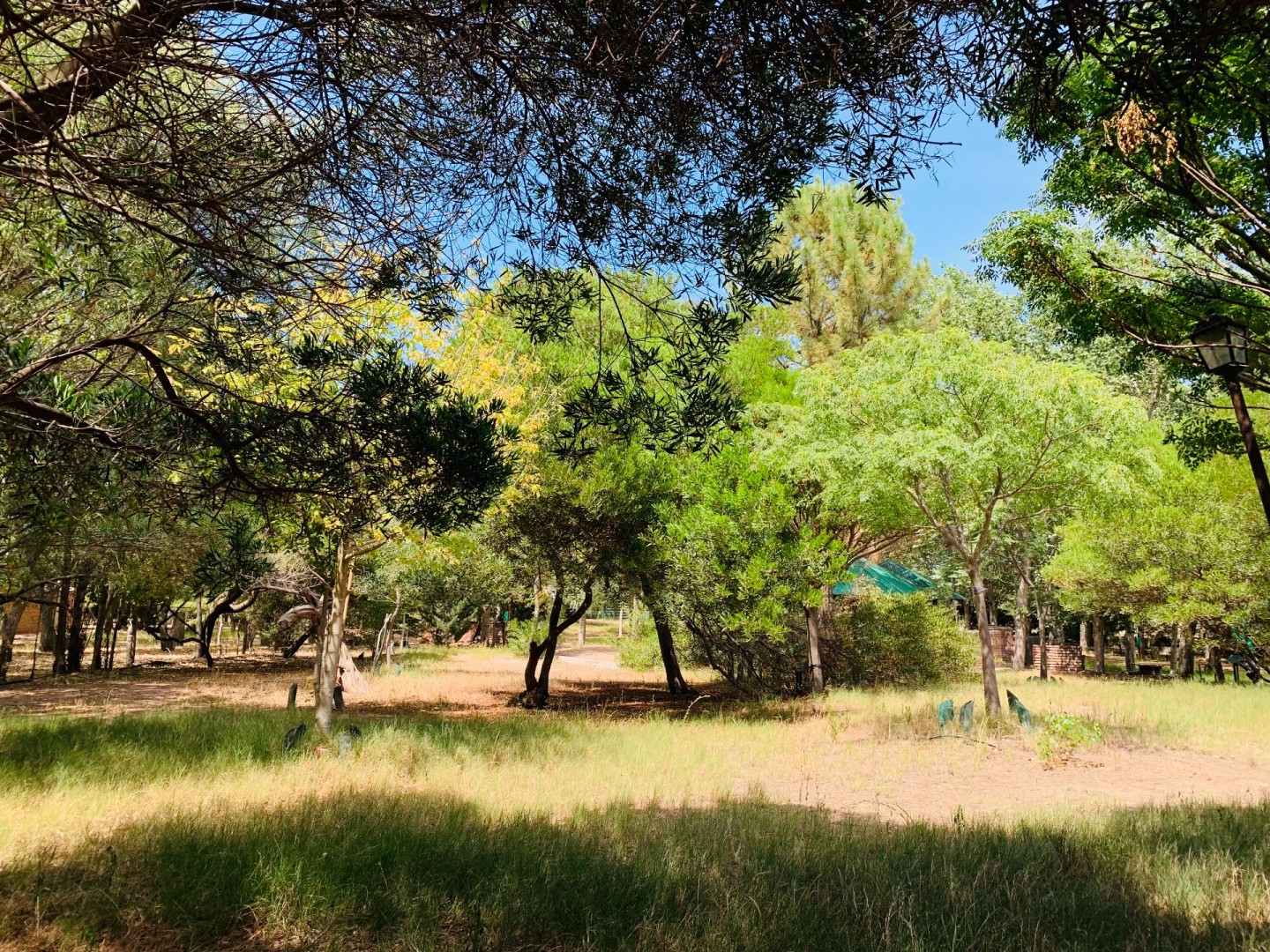 Terreno en Venta en Quiroga Entre Malvinas Y La Rioja, Dufaur, Monte Hermoso - Bahía Blanca Propiedades | SITIO OFICIAL l
