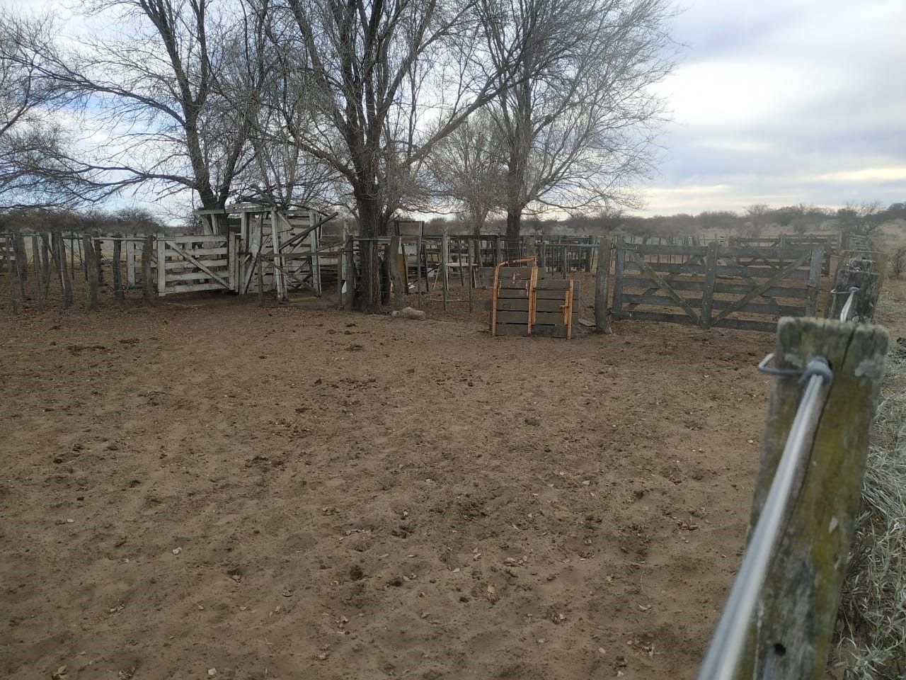 Campo  en Venta en Hucal-La Pampa,  Bahía Blanca - Bahía Blanca Propiedades | SITIO OFICIAL l