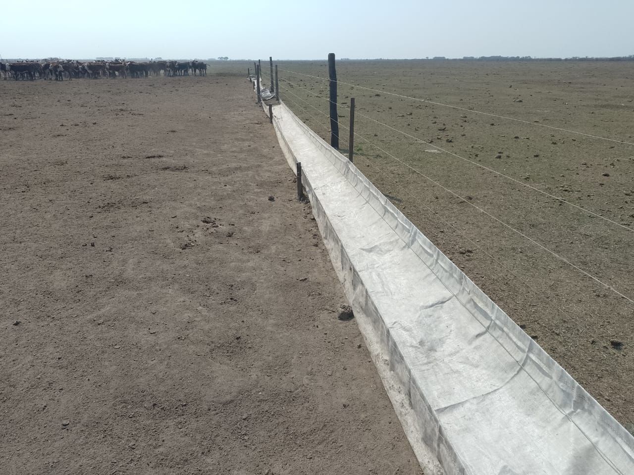 Campo  en Venta en Santiago Del Estero-Tres Lagunas - Bahía Blanca Propiedades | SITIO OFICIAL l