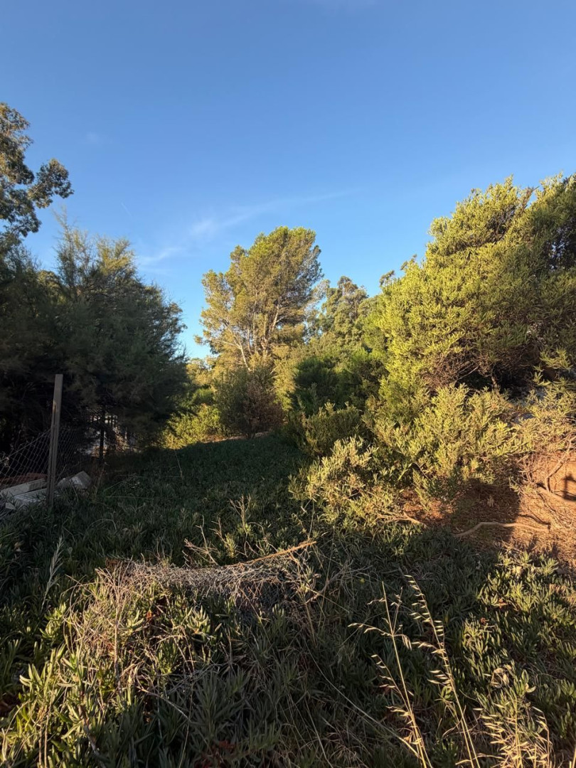 Terreno en Venta en Puleston Entre Los Alamos Y Aladino, El Sauce, Monte Hermoso - Bahía Blanca Propiedades | SITIO OFICIAL l