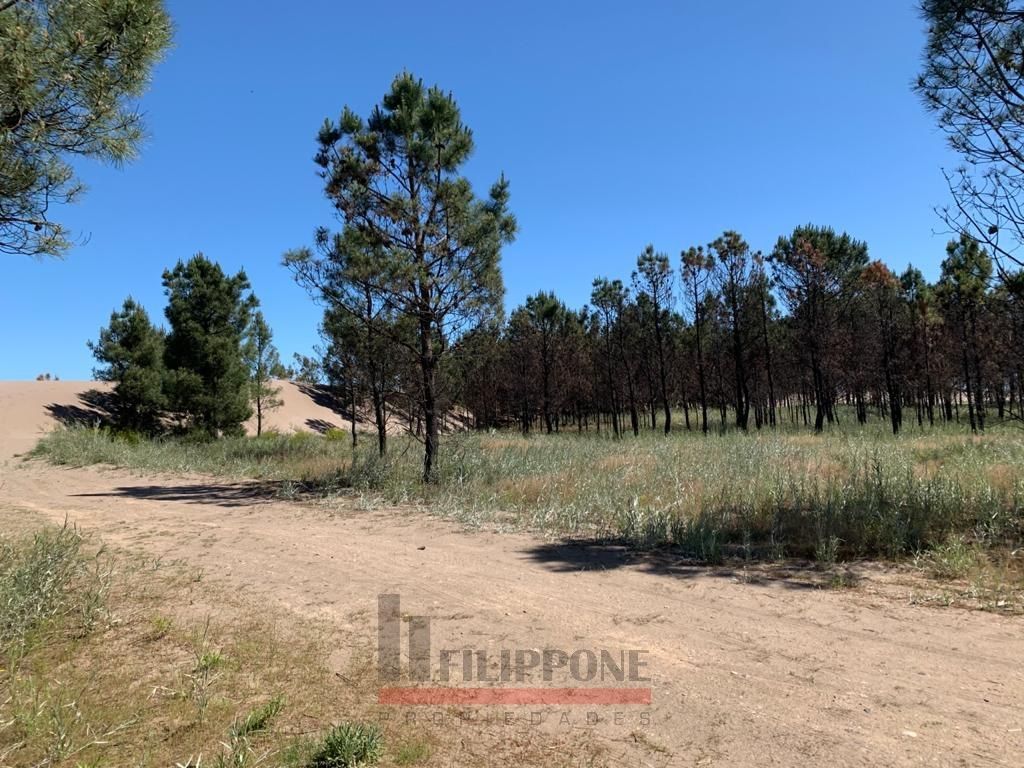 Terreno en Venta en Reserva Darwin ,  Pehuen Co - Bahía Blanca Propiedades | SITIO OFICIAL l
