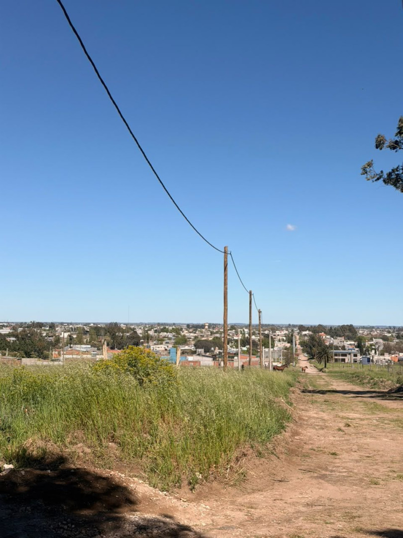 Terreno en Venta en Los Pinos Y Felipe Varela , San Carlos, Bahía Blanca - Bahía Blanca Propiedades | SITIO OFICIAL l
