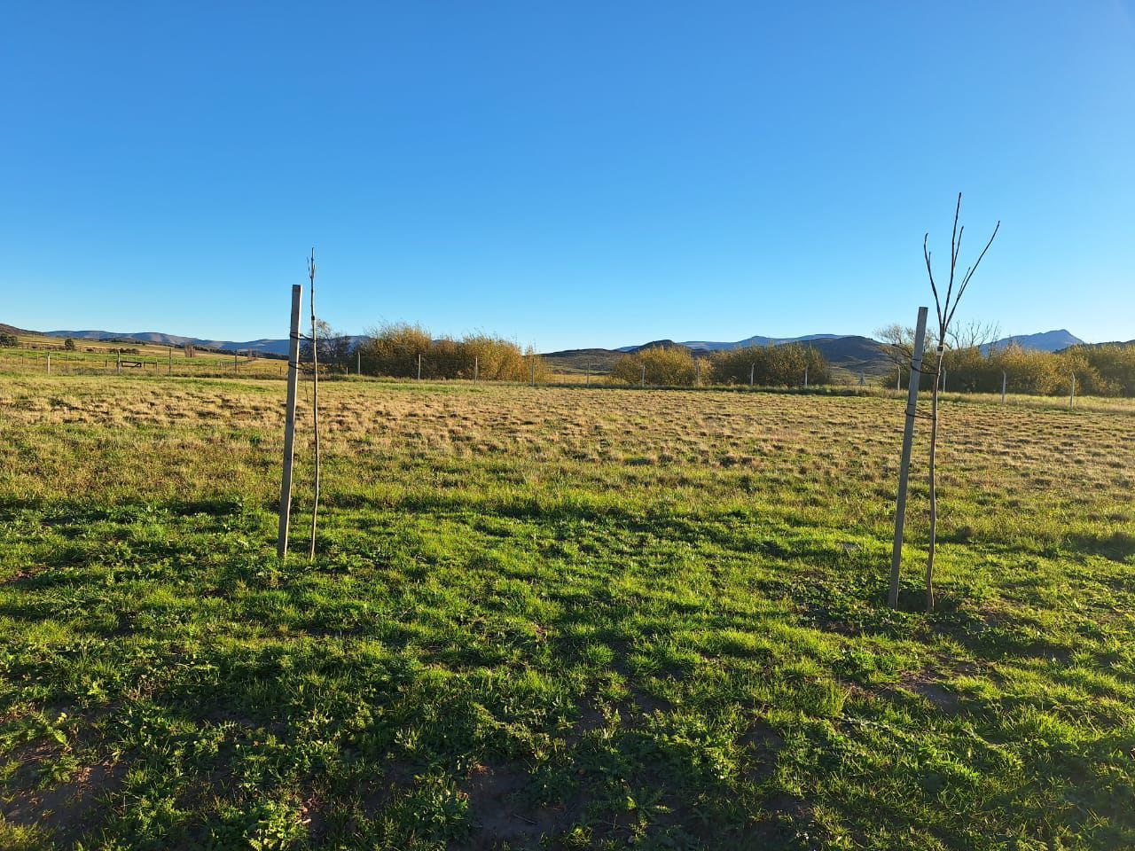 Terreno en Venta en Las Verbenas, Las Verbenas , Sierra de  la Ventana - Bahía Blanca Propiedades | SITIO OFICIAL l