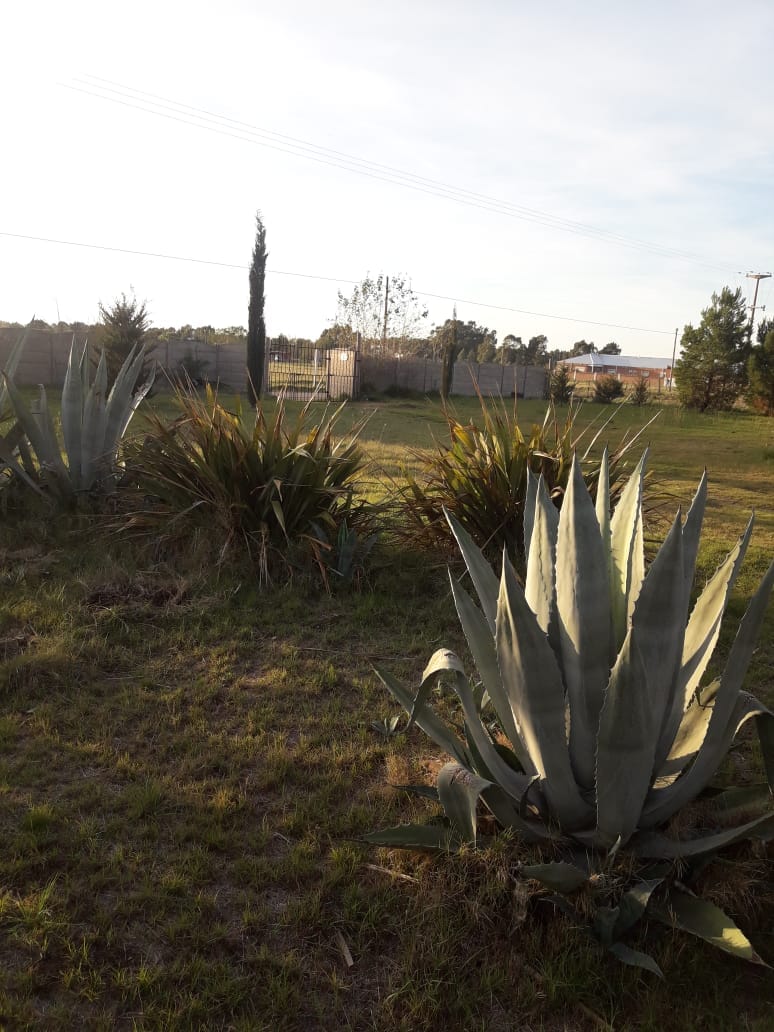 Casaquinta en Venta en Bermudez 5300, San Agustin, Bahía Blanca - Bahía Blanca Propiedades | SITIO OFICIAL l
