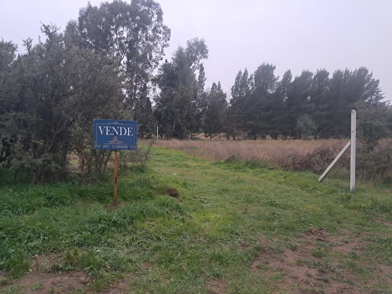 Terreno en Venta  Villa Belgrano, Bahía Blanca - Bahía Blanca Propiedades | SITIO OFICIAL l