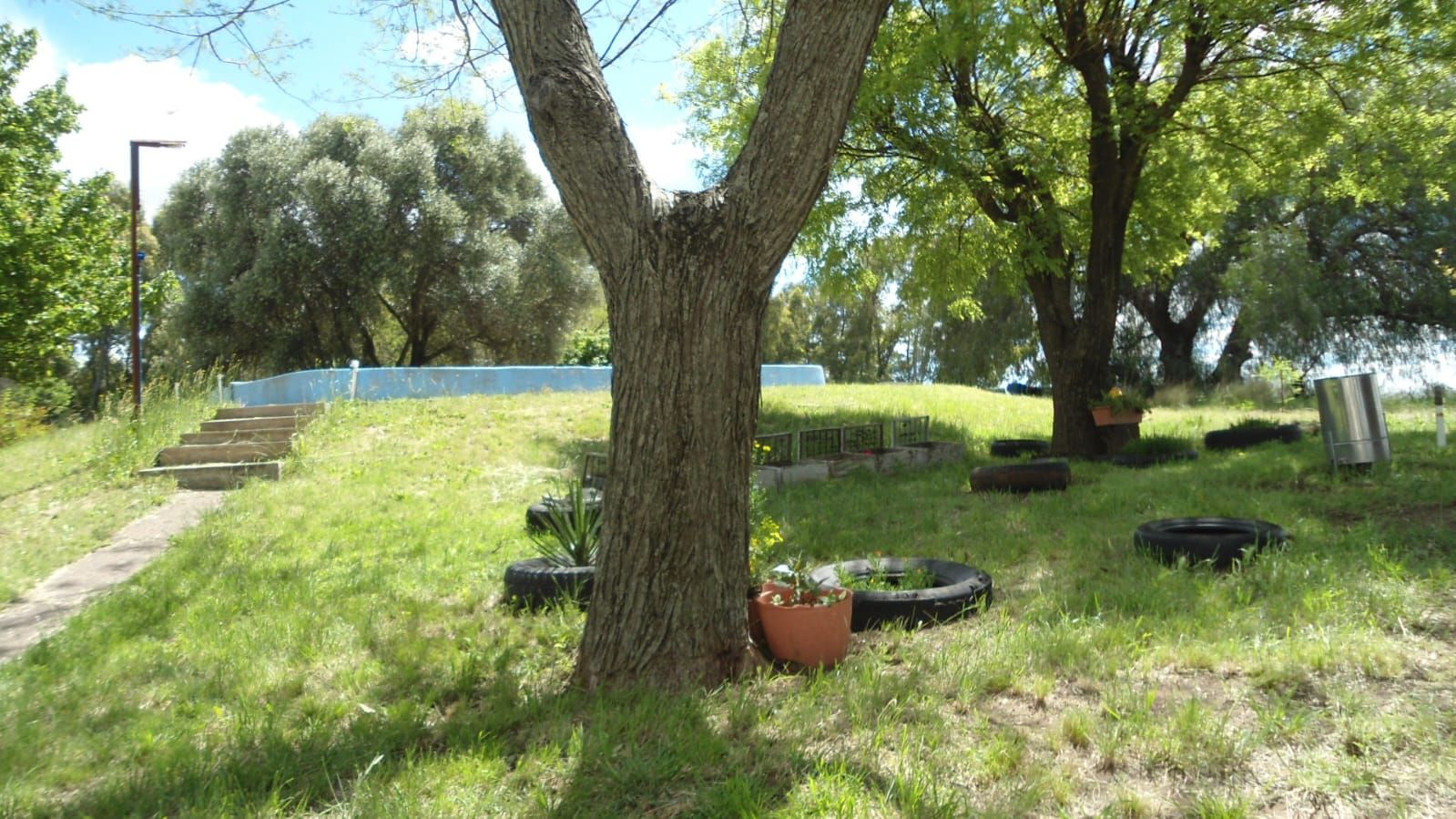 Campo  en Venta en Rn22,  Villarino - Bahía Blanca Propiedades | SITIO OFICIAL l