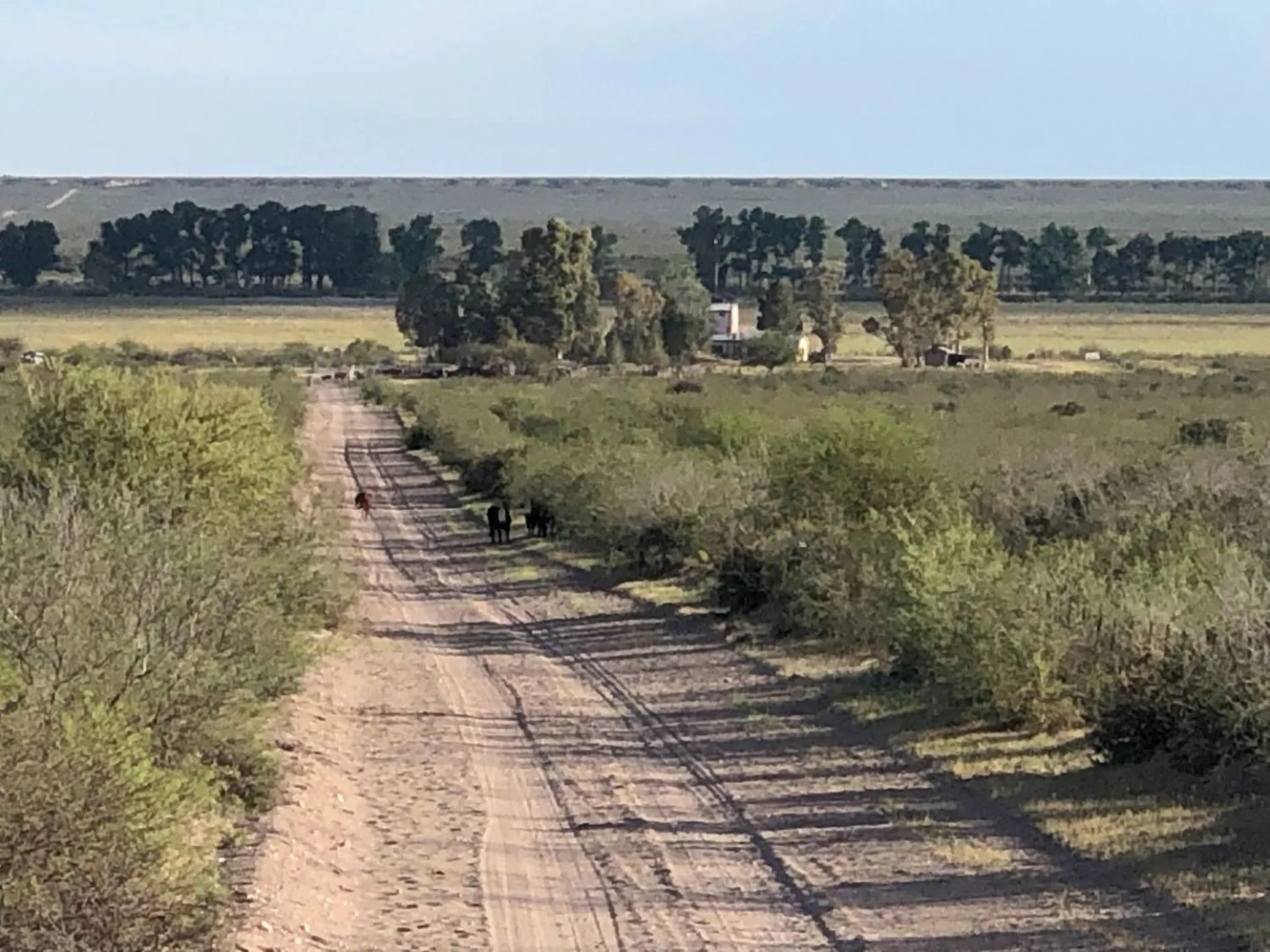 Campo  en Venta en Ruta Provincial 34,  Lihuel Calel - La Pampa - Bahía Blanca Propiedades | SITIO OFICIAL l
