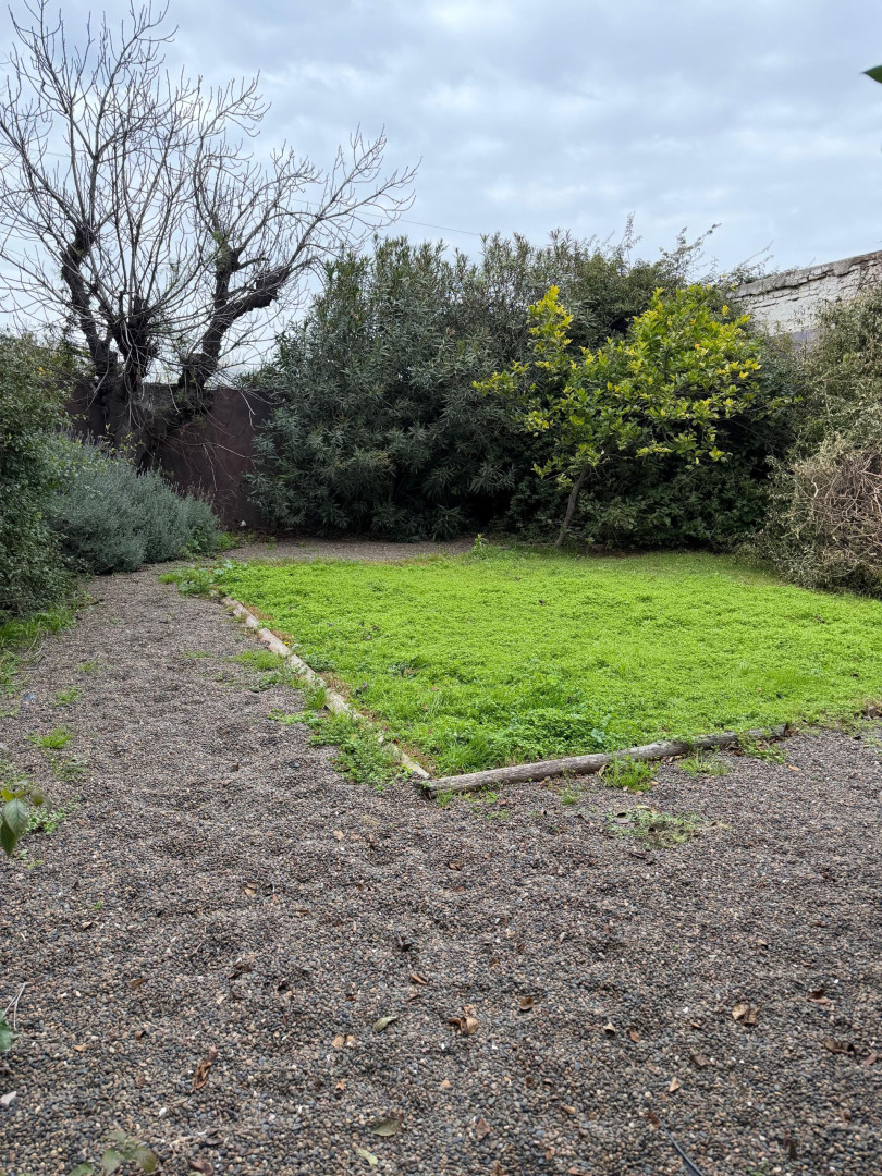 Local en Venta en Donado 362, Centro, Bahía Blanca - Bahía Blanca Propiedades | SITIO OFICIAL l