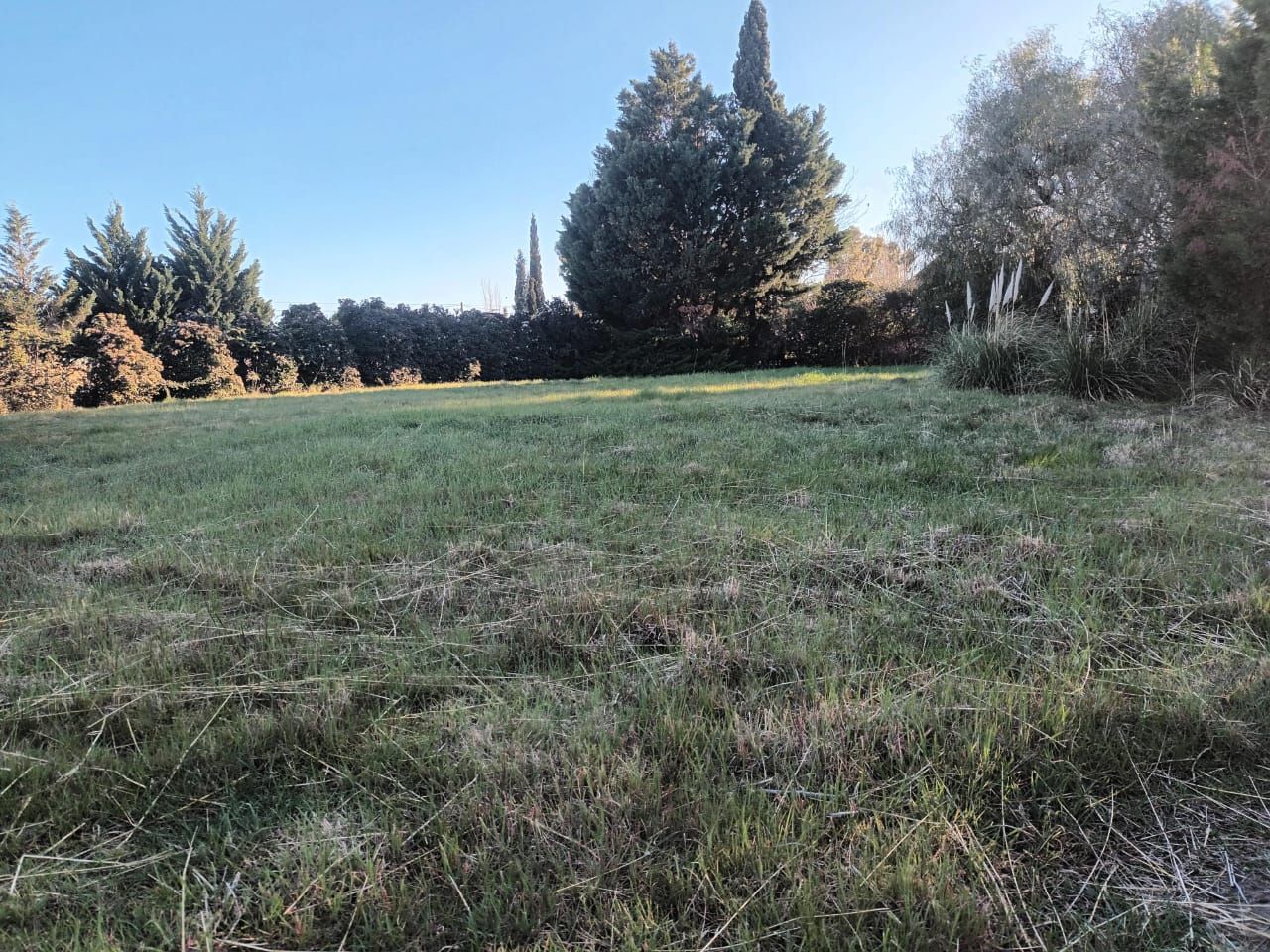 Terreno en Venta en Estanislao Lopez 3731, Paihuen, Bahía Blanca - Bahía Blanca Propiedades | SITIO OFICIAL l