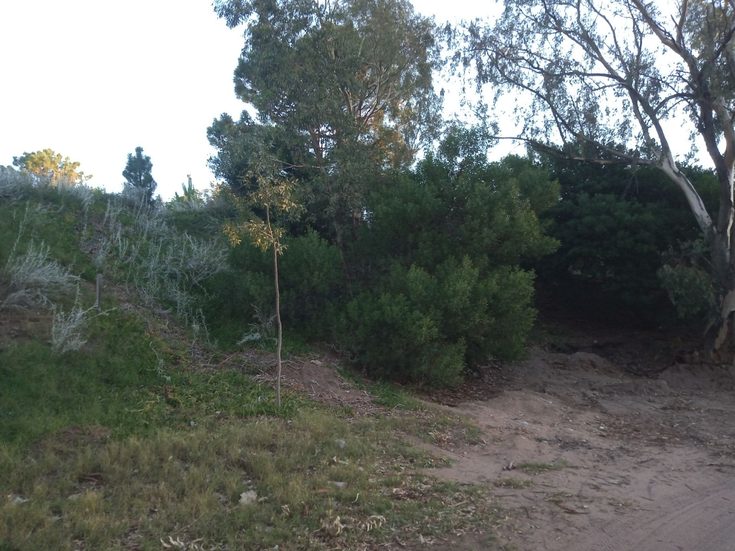 Terreno en Venta en Santa Fe 650,  Monte Hermoso - Bahía Blanca Propiedades | SITIO OFICIAL l
