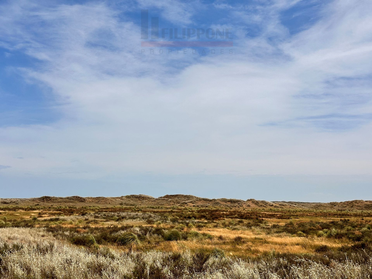 Campo  en Venta   Coronel Dorrego - Bahía Blanca Propiedades | SITIO OFICIAL l