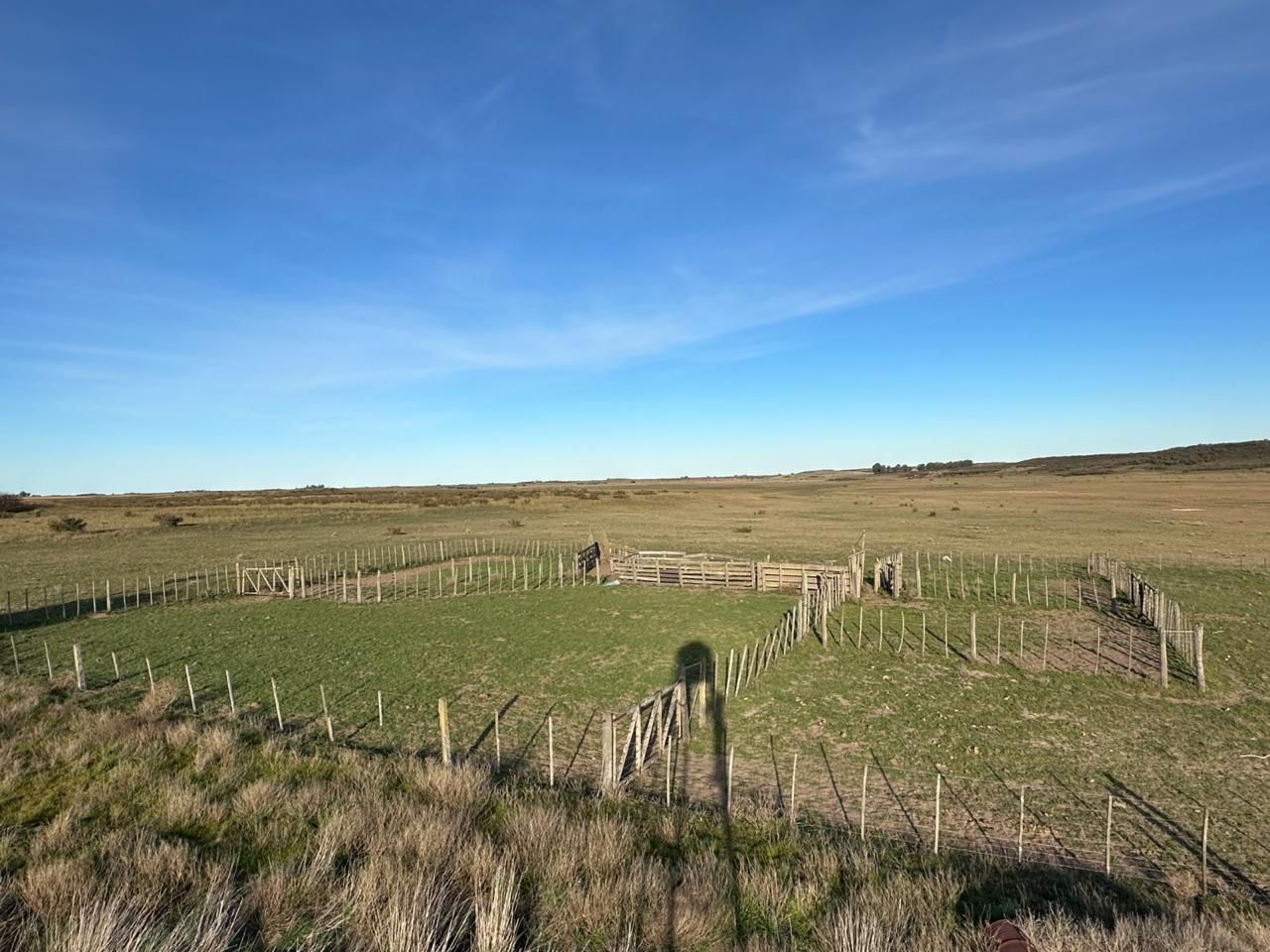 Campo  en Venta en A 4 Kilómetros De La Ruta 3.,  Teniente Origone - Bahía Blanca Propiedades | SITIO OFICIAL l