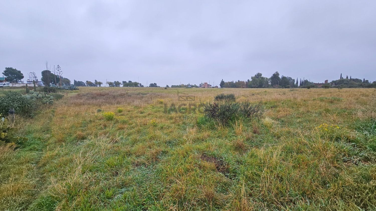 Terreno en Venta en Rigamonti Y Salvo, Villa Belgrano, Bahía Blanca - Bahía Blanca Propiedades | SITIO OFICIAL l